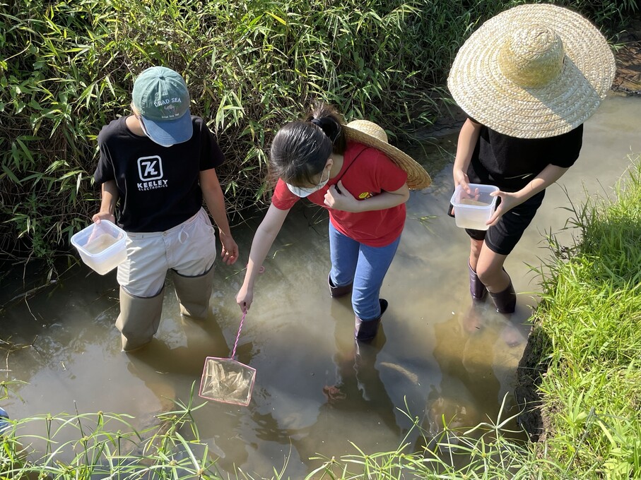 ■八十多名中一學生於五月前往大埔林村體驗水稻種植，屬為期一年的戶外體驗式學習。