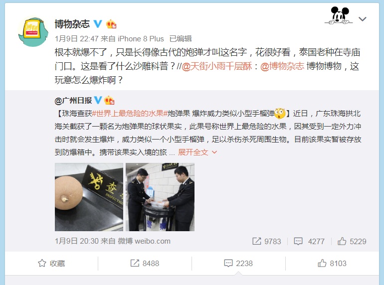 科學雜誌澄清「砲彈果」不會爆炸。網上圖片
