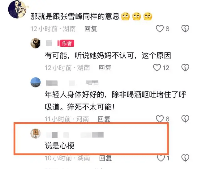 有關蕾蕾死因的議論。