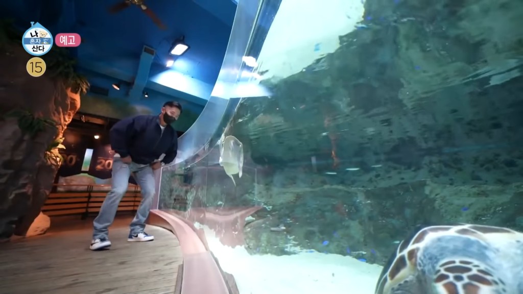 《我獨自生活》中,南宮珉亦會去水族館睇海洋生物。