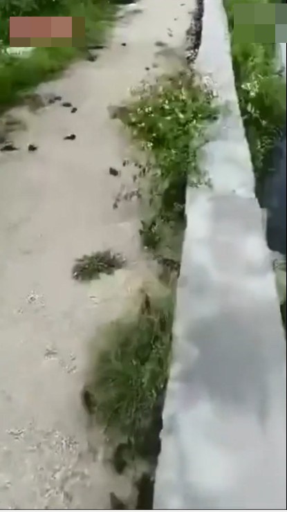 影片截圖