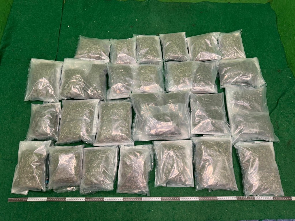 第二宗案件中檢獲的懷疑大麻花。