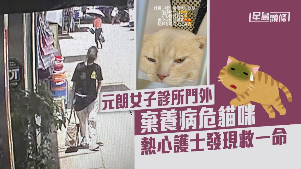元朗一名女子於診所門外棄養病危貓咪。網民Kobi Tsang圖片