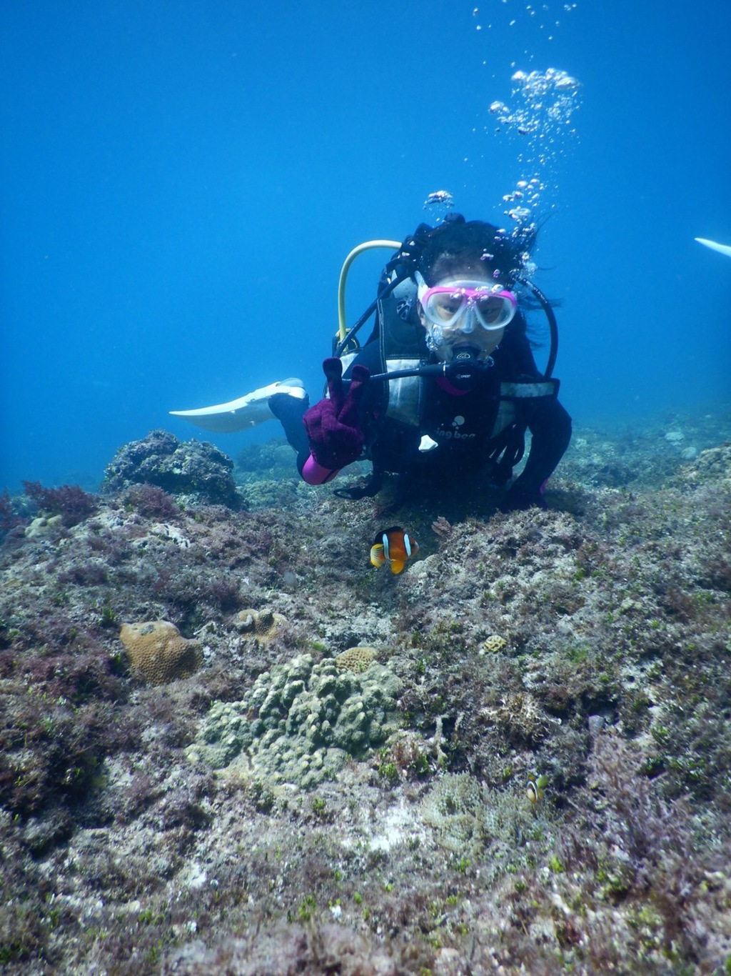 梁凱熙在台灣考取了潛水執照。網上圖片