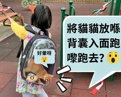 一名女童將小貓放進一個透明寵物背囊內，並在公園裡跑跑跳跳。「Vegan Concept」Facebook圖片