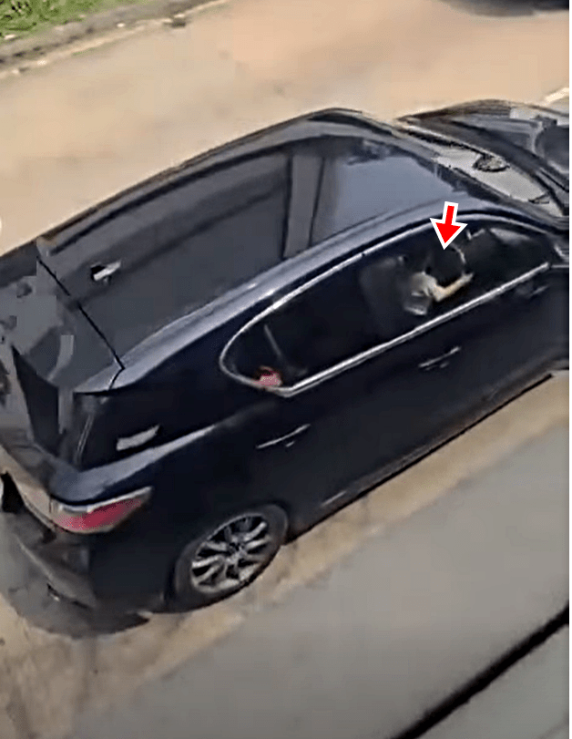 私家車車頭坐着一名男童。fb：屯門友