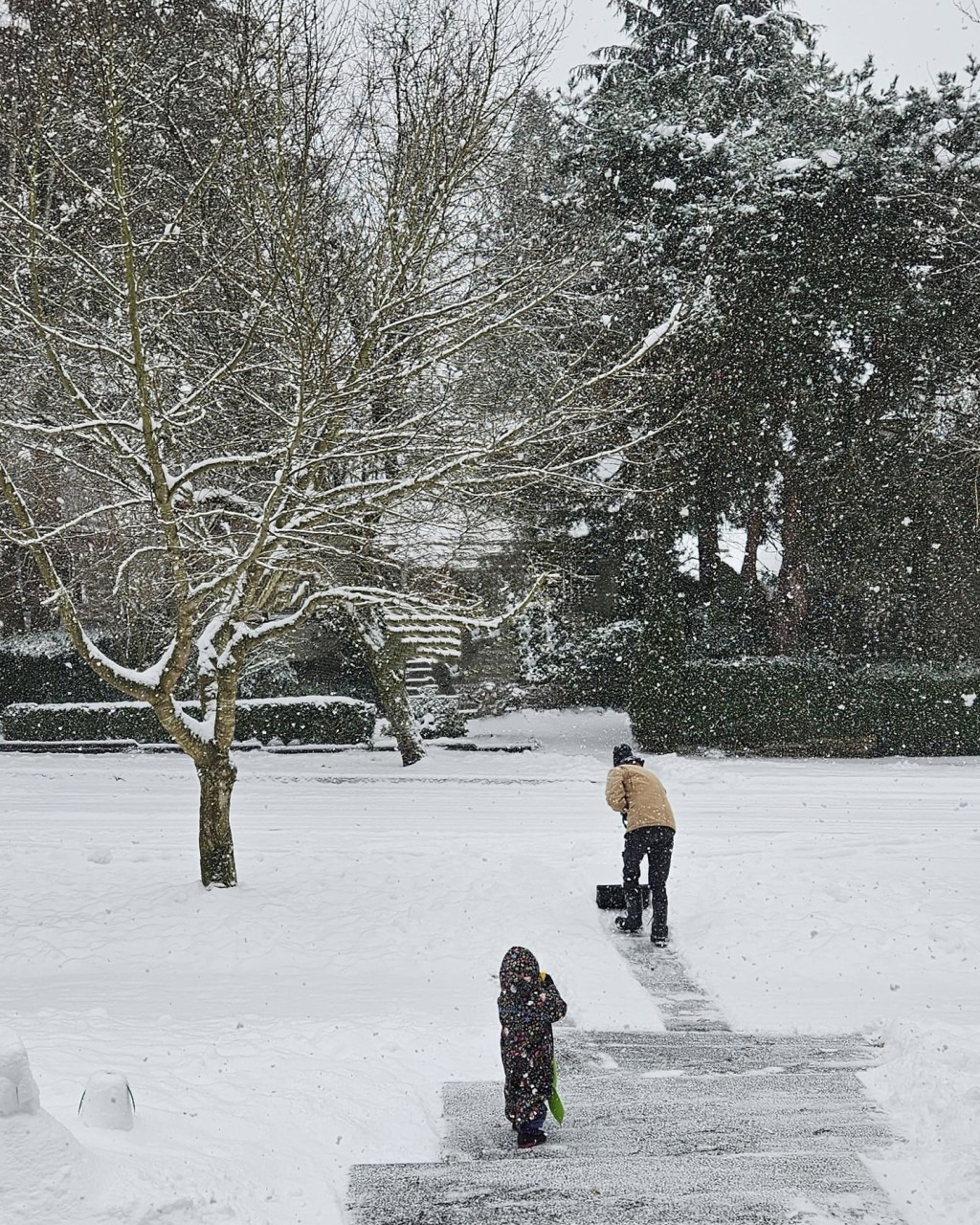 鍾嘉欣一家在花園鏟雪，生活簡單富足。