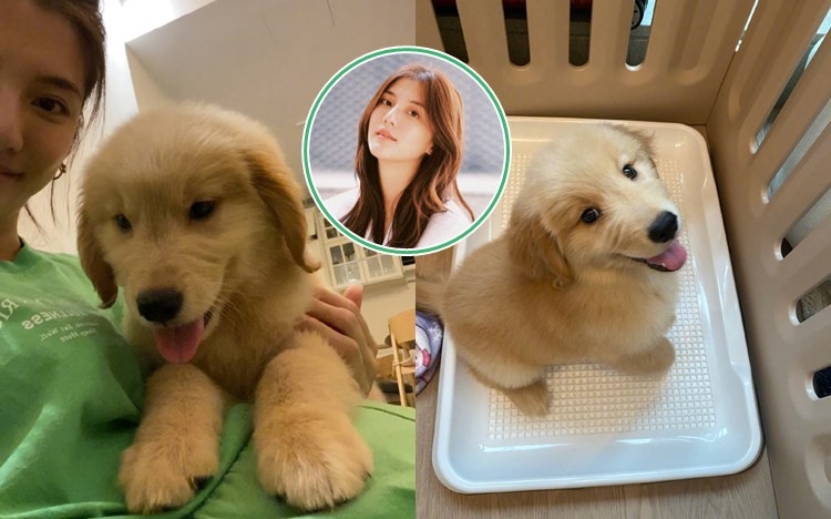 千語屋企又有新成員。