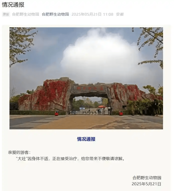 合肥野生動物園通報。 合肥野生動物園通報。