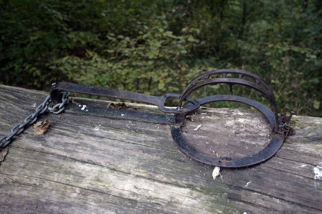 捕獸器。政府新聞處