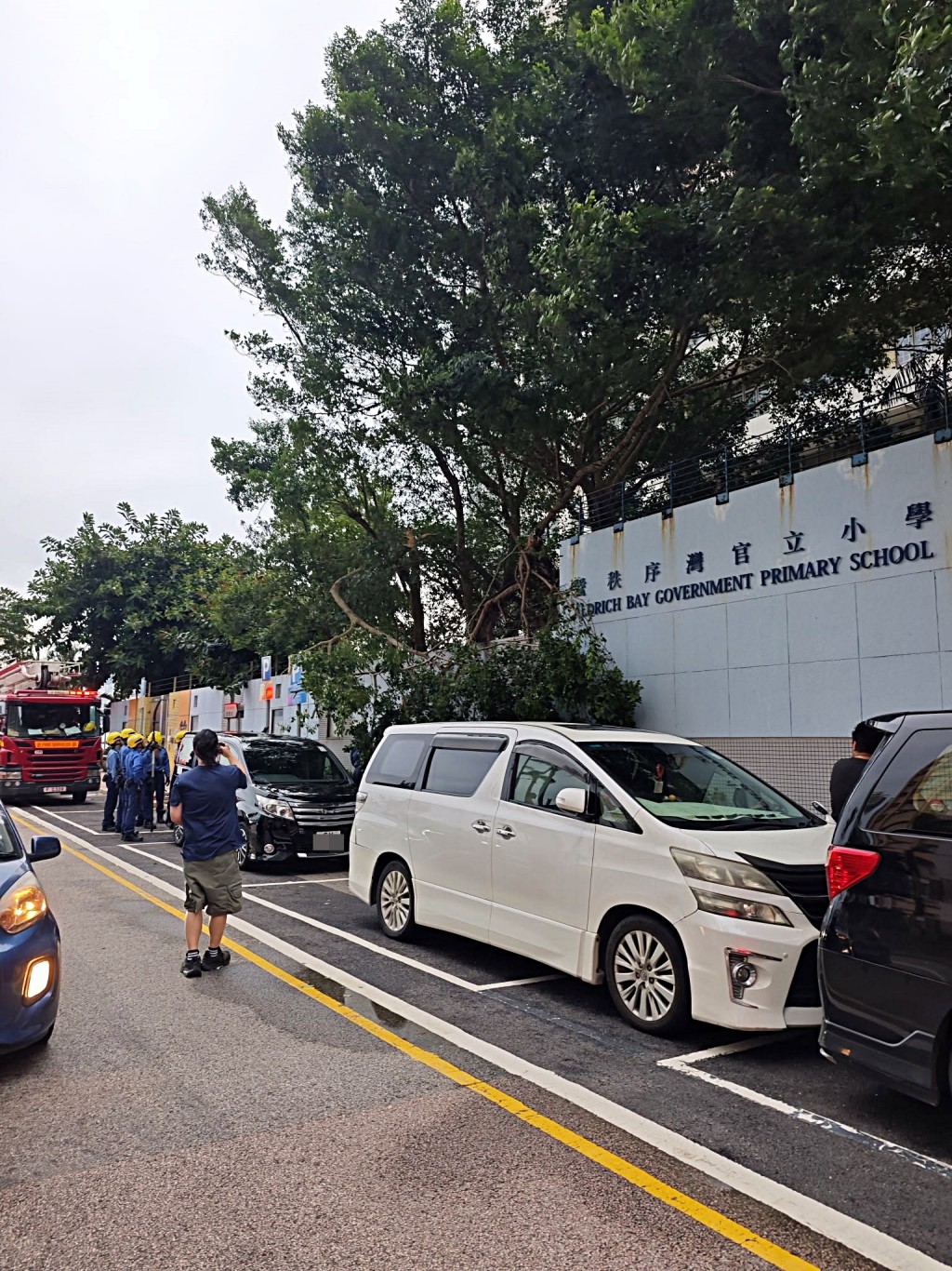 大樹壓中一輛私家車。fb：筲箕灣西灣河關注組
