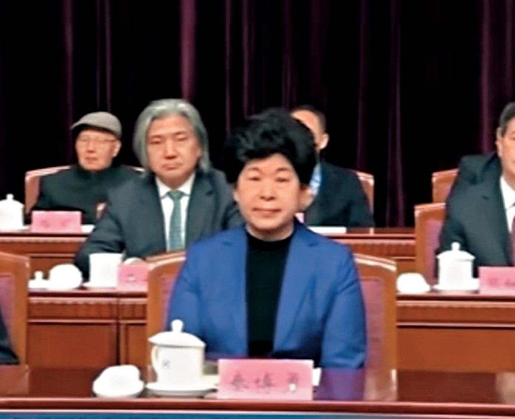 民建中央常務副主席秦博勇露臉。