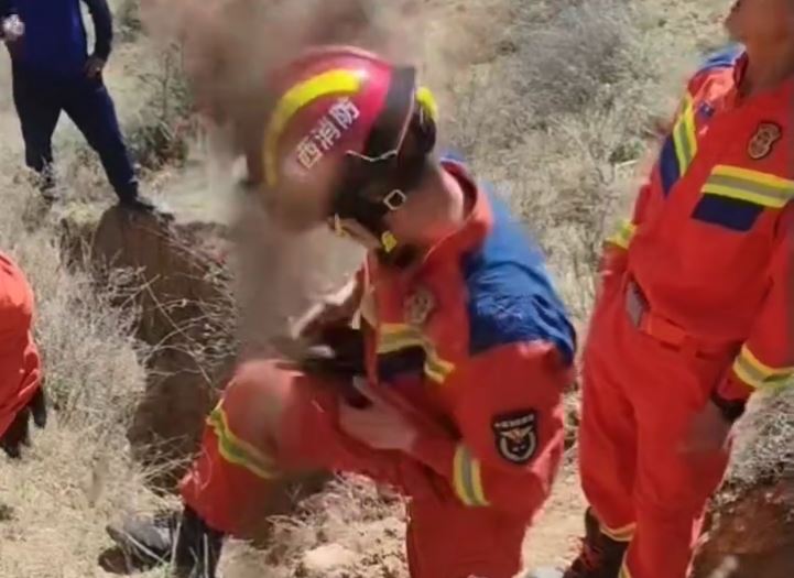 黄牛跌落深坑4日仍未能救出，最终死在洞内。抖音