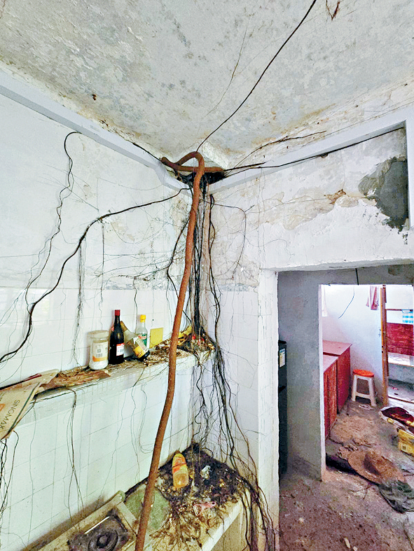 長洲地段899號,荒廢住宅連屋地,開價680萬。