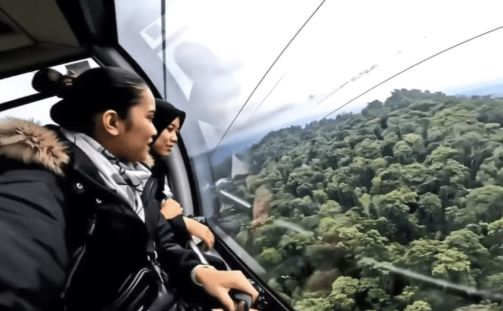 難怪老夫婦「中招」,這段「纜車旅遊片」可謂極其逼真。 難怪老夫婦「中招」,這段「纜車旅遊片」可謂極其逼真。