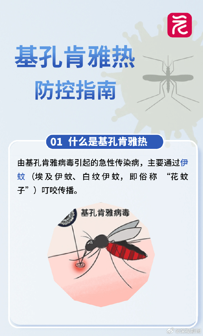 基孔肯雅熱防控指南。 深視新聞