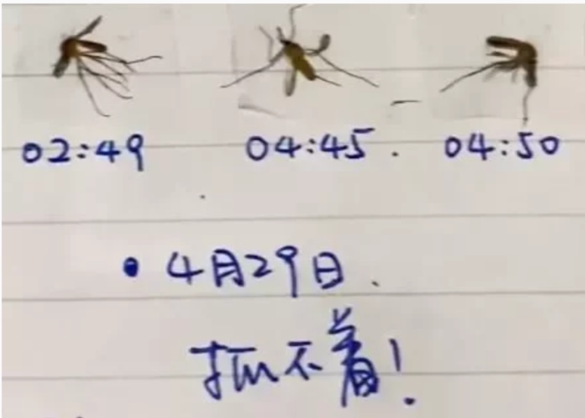 若打不到蚊子,也會記綠。影片截圖