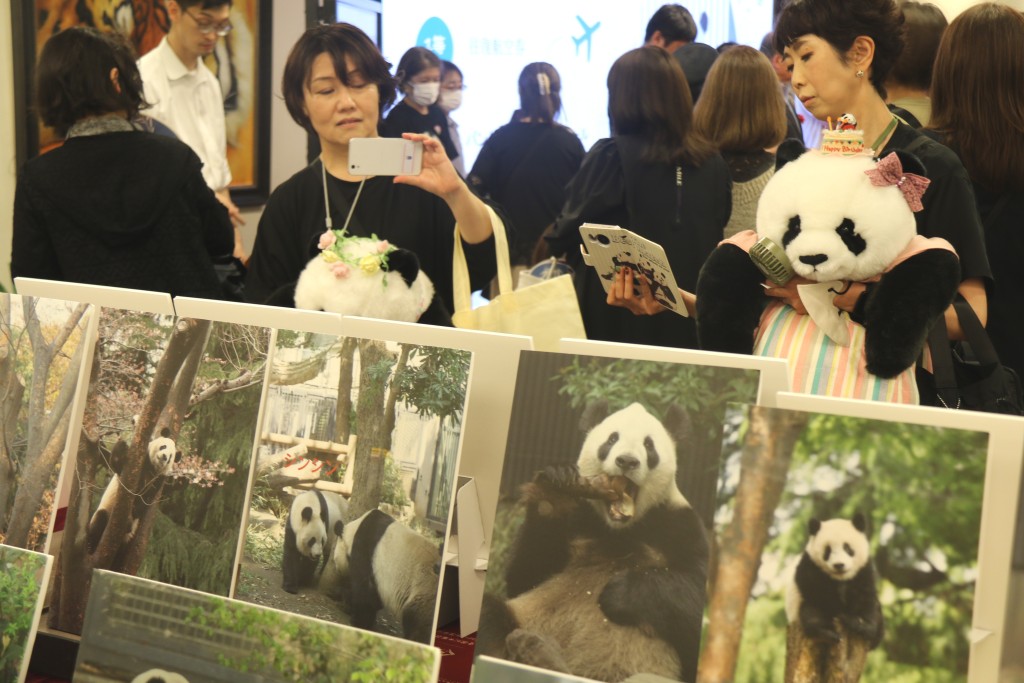 2023年2月，大熊猫「香香」由日本回到家乡四川成都。