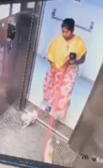 狗褓姆帶兩隻小狗外出。X@ChalavadiVinod 狗褓姆帶兩隻小狗外出。X@ChalavadiVinod