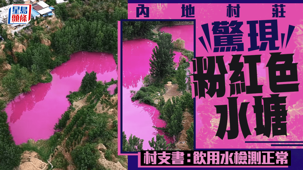 河南村莊驚現粉色水塘 官方：正排查河道兩岸企業