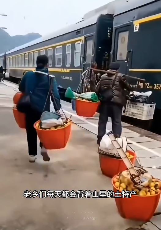 涼山彝族的公益列車設有牲畜專用車廂。微博@一隻獵奇的狗