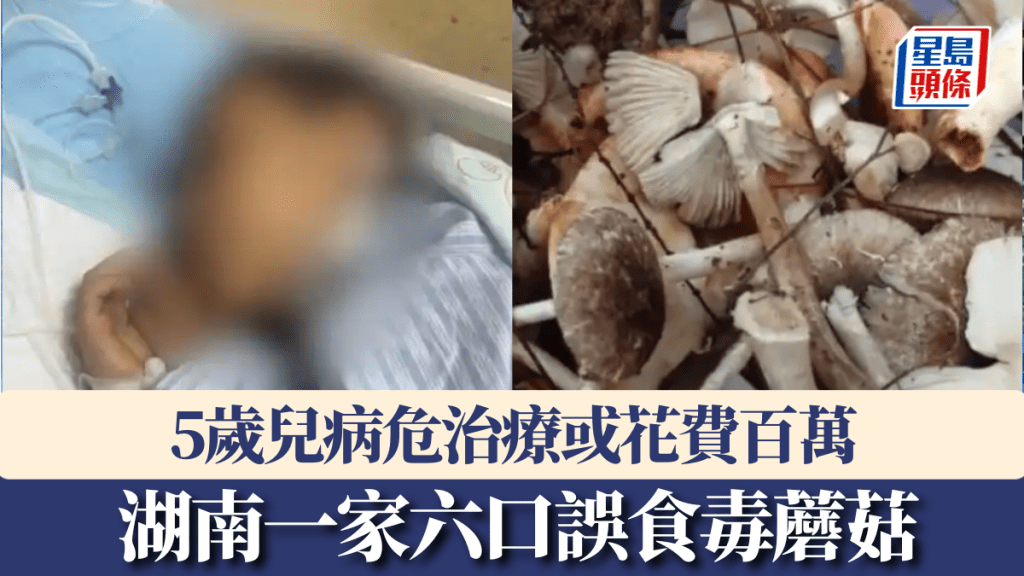 湖南一家六口誤食毒蘑菇,3人進ICU,5歲兒病危治療或花費百萬。