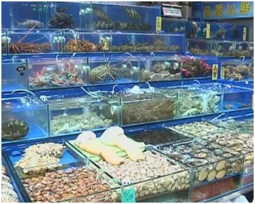 孔雀石綠因價格低廉,常被用於防治魚類水黴病等寄生蟲病。網上圖片