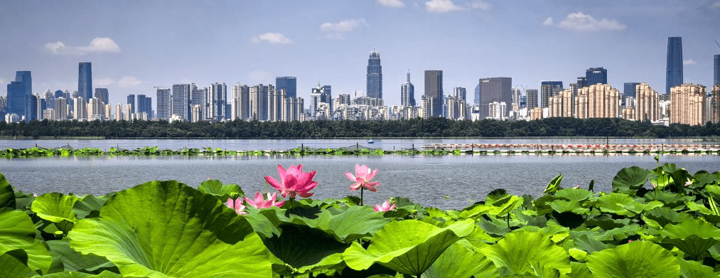 第5名是武汉（中国）。 新华社
