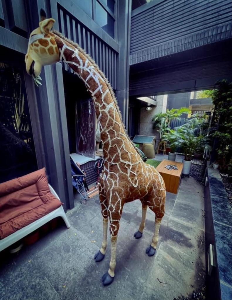 長頸鹿出沒注意！