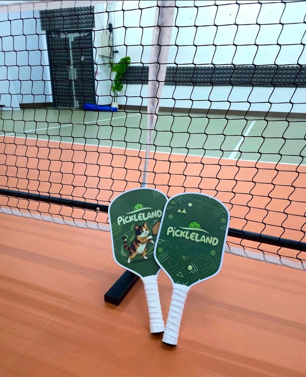 Pickleland HK（圖片來源：官網圖片）