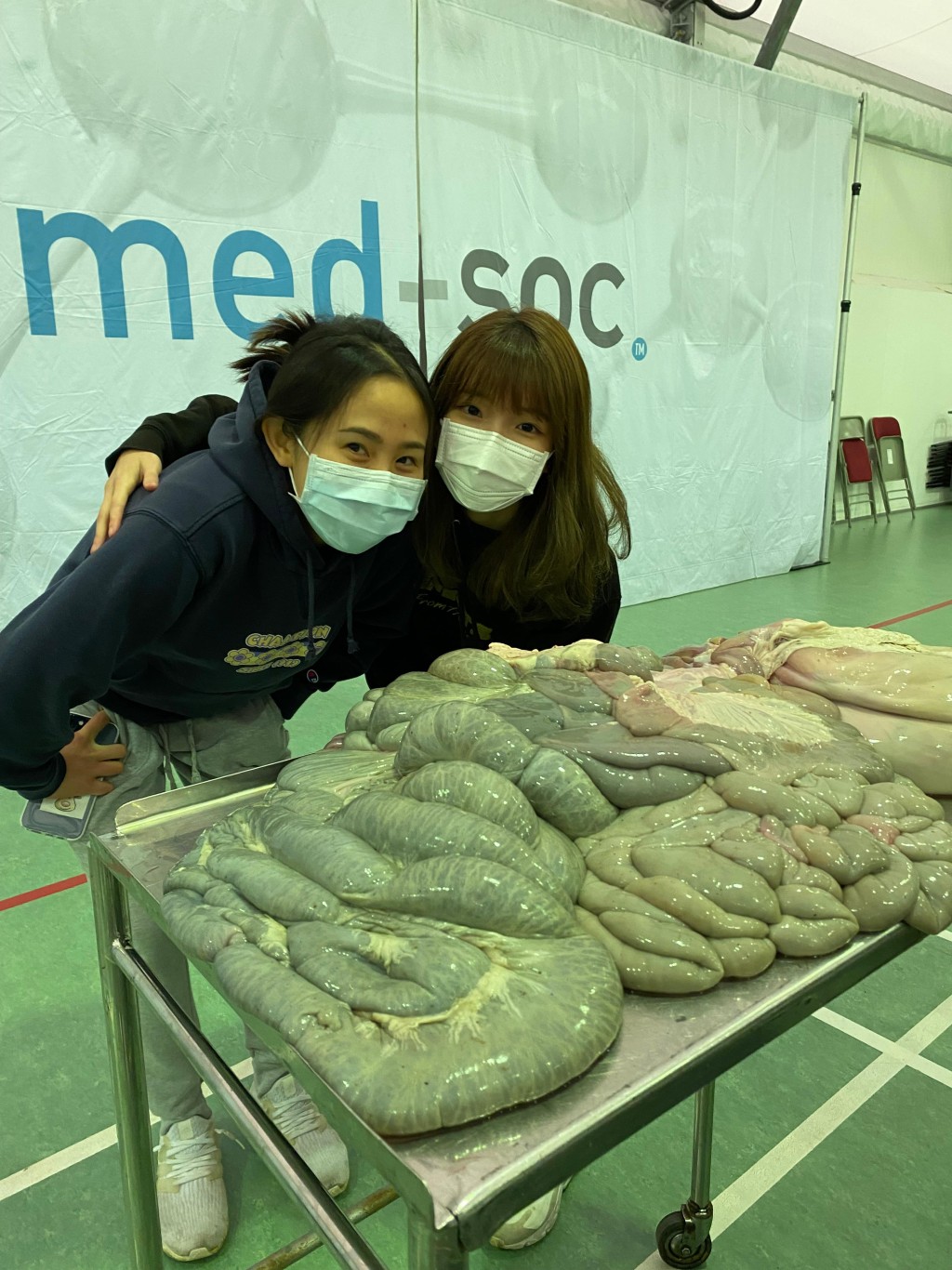 Joey分享她當時參與學校medical society的一個工作坊,可以親自解剖豬的屍體,在親身嘗試嘗試解剖、縫合傷口等手術步驟後,讓她更加確認對醫療、獸醫行業的興趣。(圖片來源:受訪者提供) Joey分享她當時參與學校medical society的一個工作坊,可以親自解剖豬的屍體,在親身嘗試嘗試解剖、縫合傷口等手術步驟後,讓她更加確認對醫療、獸醫行業的興趣。(圖片來源:受訪者提供)