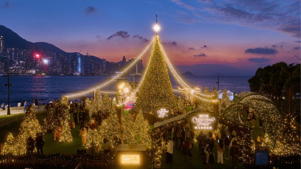 「西九圣诞森林」摆放超过60棵圣诞树，包括一棵12米高的巨型圣诞树， 柔和灯饰与维港夜景互相辉映。（图片由西九文化区管理局提供）