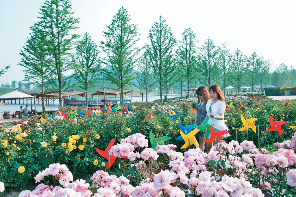 每到春天，韩国釜山一片花海。