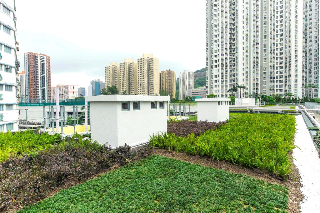 華廈邨的綠色屋頂，其雨水收集系統能從中收集雨水。政府新聞處圖片