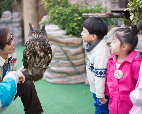 有小朋友會到海洋公園認識禽鳥及動物。資料圖片