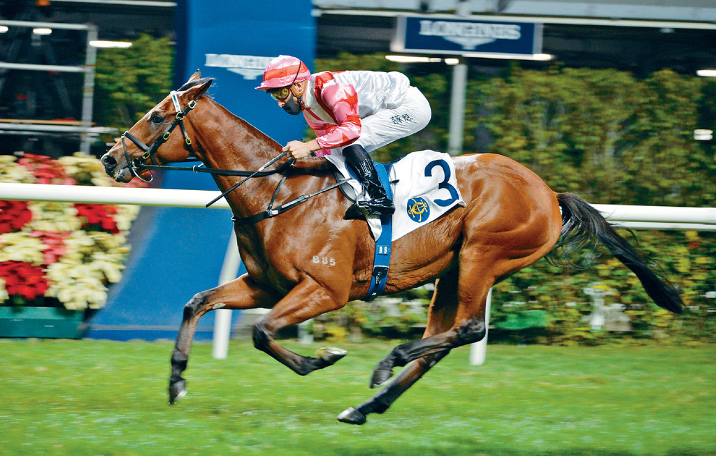 ■「成才」今仗配見習生，單一跑法的馬應不難發揮，九歲馬長勇應無保留。