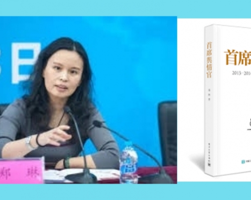 鄭琳著有著有《首席輿情官》，詳細解讀二○一三年至一四年中國社會所發生的輿情應對的近百個實例。