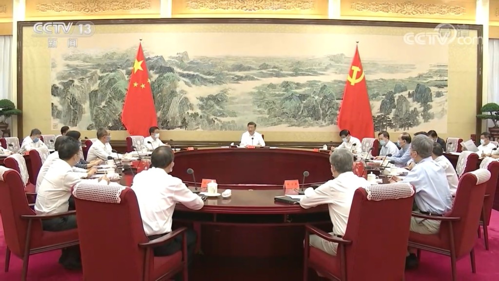 習近平召開經濟社會領域專家座談會。央視截圖