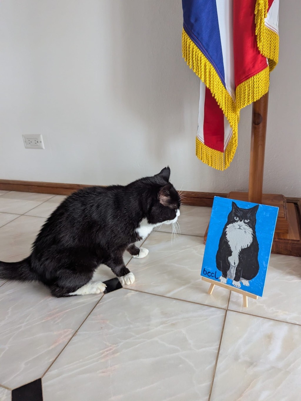 英國外交部前「捕鼠大臣」帕默斯頓逝世,享年12歲。X@DiploMog 英國外交部前「捕鼠大臣」帕默斯頓逝世,享年12歲。X@DiploMog