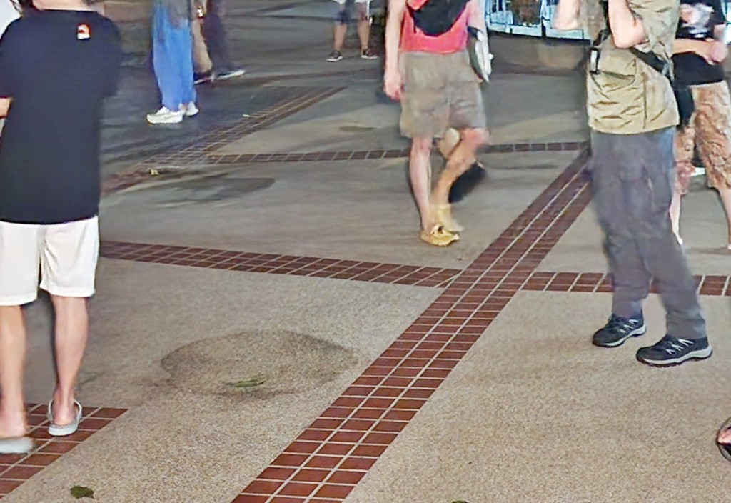 有網民似乎認得現場為美孚新村,查 問「美孚?」、「係唔係美孚?我好 似見到你哋」。資料圖片 有網民似乎認得現場為美孚新村,查 問「美孚?」、「係唔係美孚?我好 似見到你哋」。資料圖片