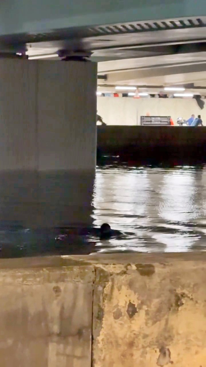 Threads截圖（資料來源：kenneth_llm＠Threads）