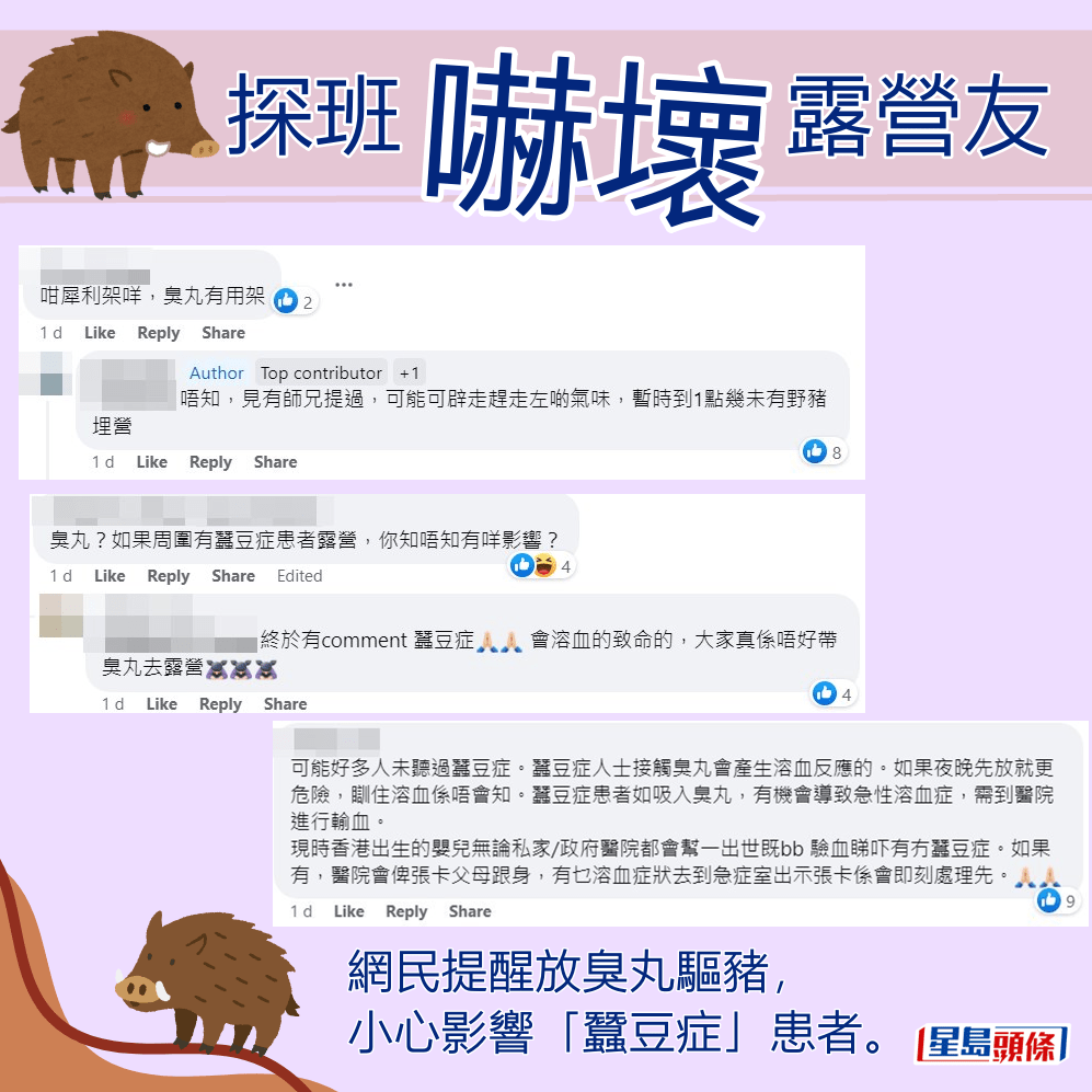 網民提醒放臭丸驅豬，小心影響「蠶豆症」患者。fb「香港人露營分享谷」截圖