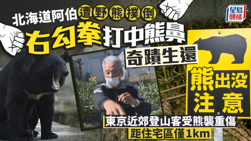 日本熊出沒 | 東京近郊登山客遇熊襲重傷 北海道78歲翁揮拳擊退棕熊