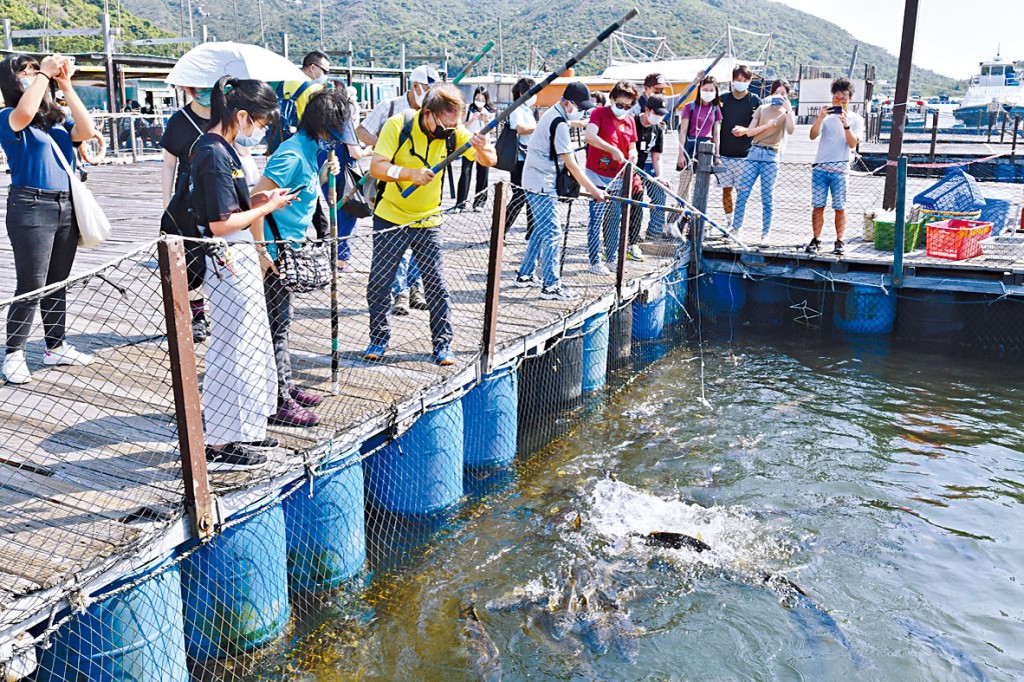 ■旅發局推出的「賞你遊大抽獎」，將於本周二截止報名。