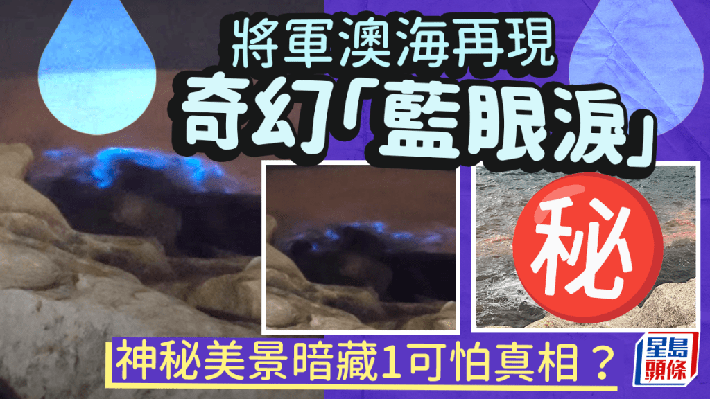 將軍澳海再現奇幻「藍眼淚」!神秘紅潮美景暗藏1可怕真相