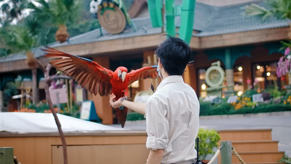 海洋公園提供