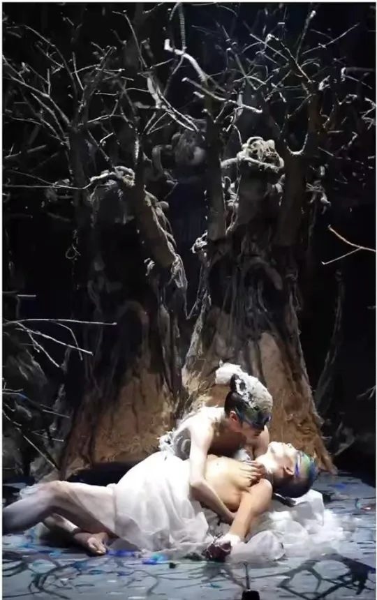 「雀之灵」视频账号发布的相关舞蹈片段截图。