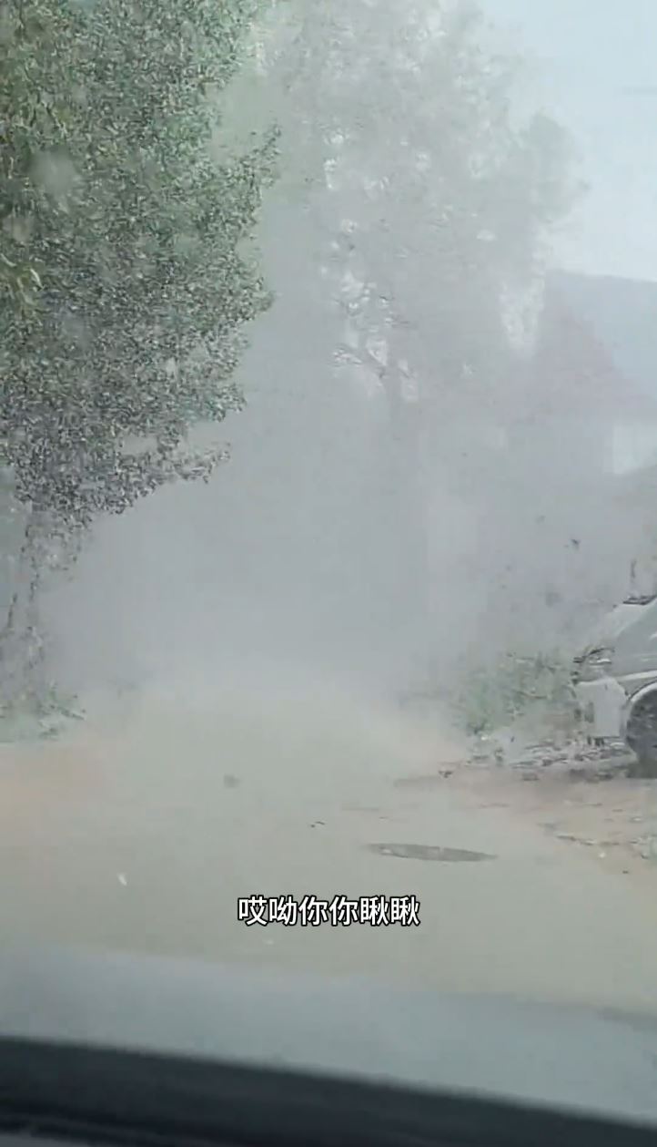 北方多地飞絮风暴大爆发，能见度恶劣。