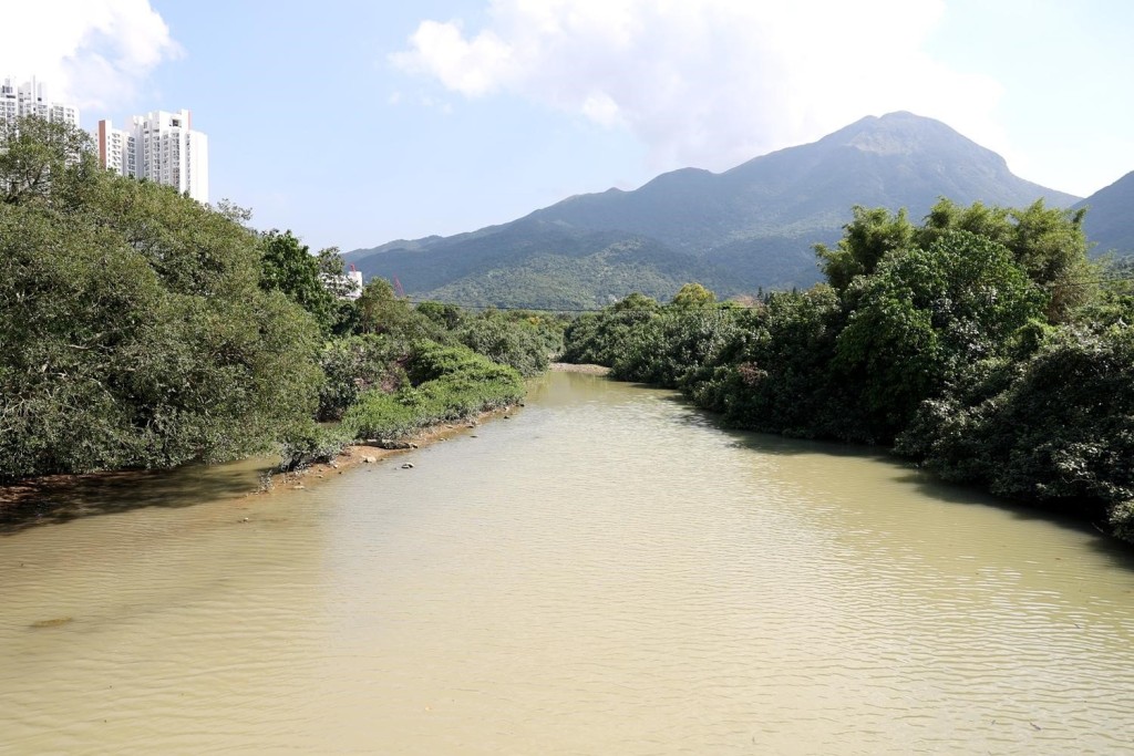 東涌河。綠色力量提供