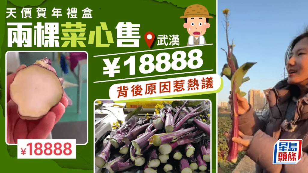 農曆新年｜兩棵菜心賣¥18888元變天價禮盒  網民：吃了成仙？